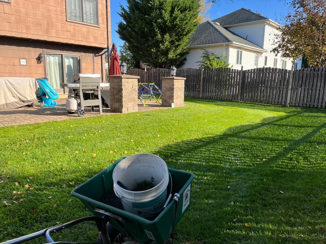 Backyard lawn treatment near patio