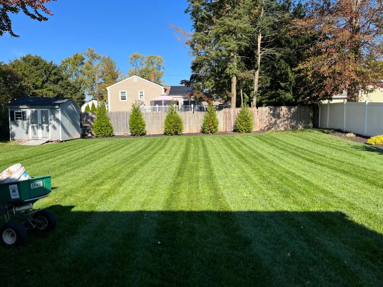 Curb appeal lawn care at a craftsman home