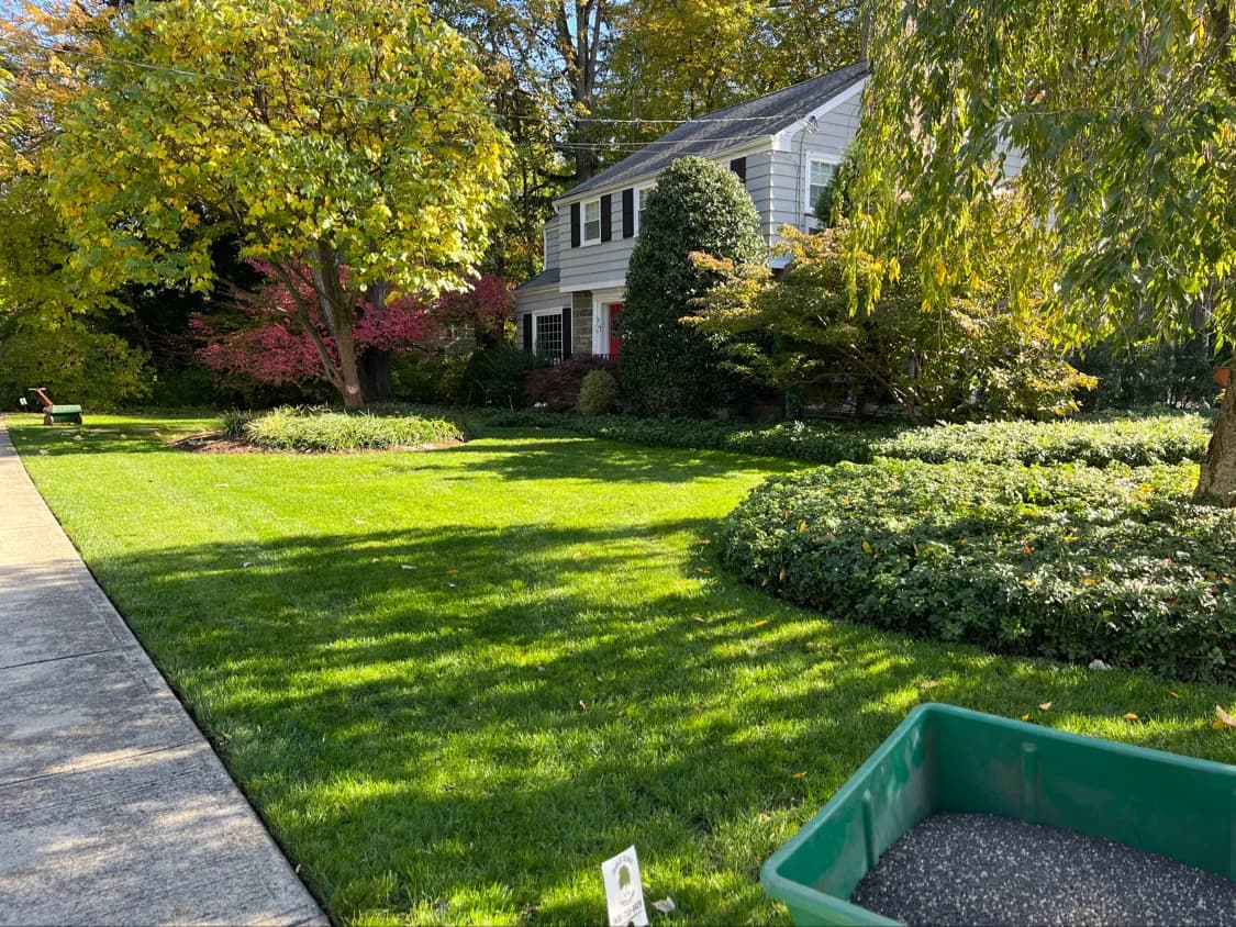 Lush green lawn landscaping in NJ