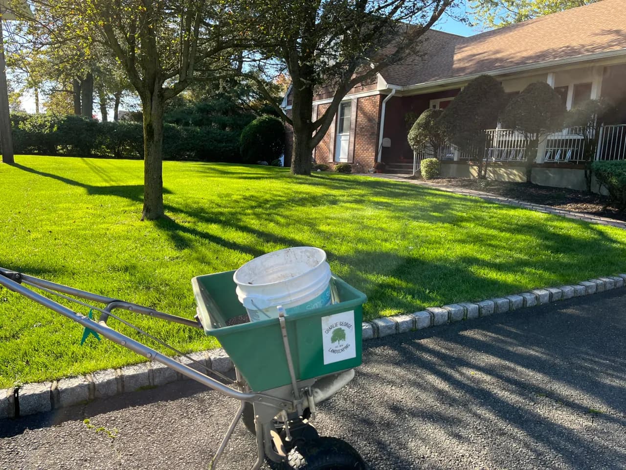 Residential yard maintenance in autumn